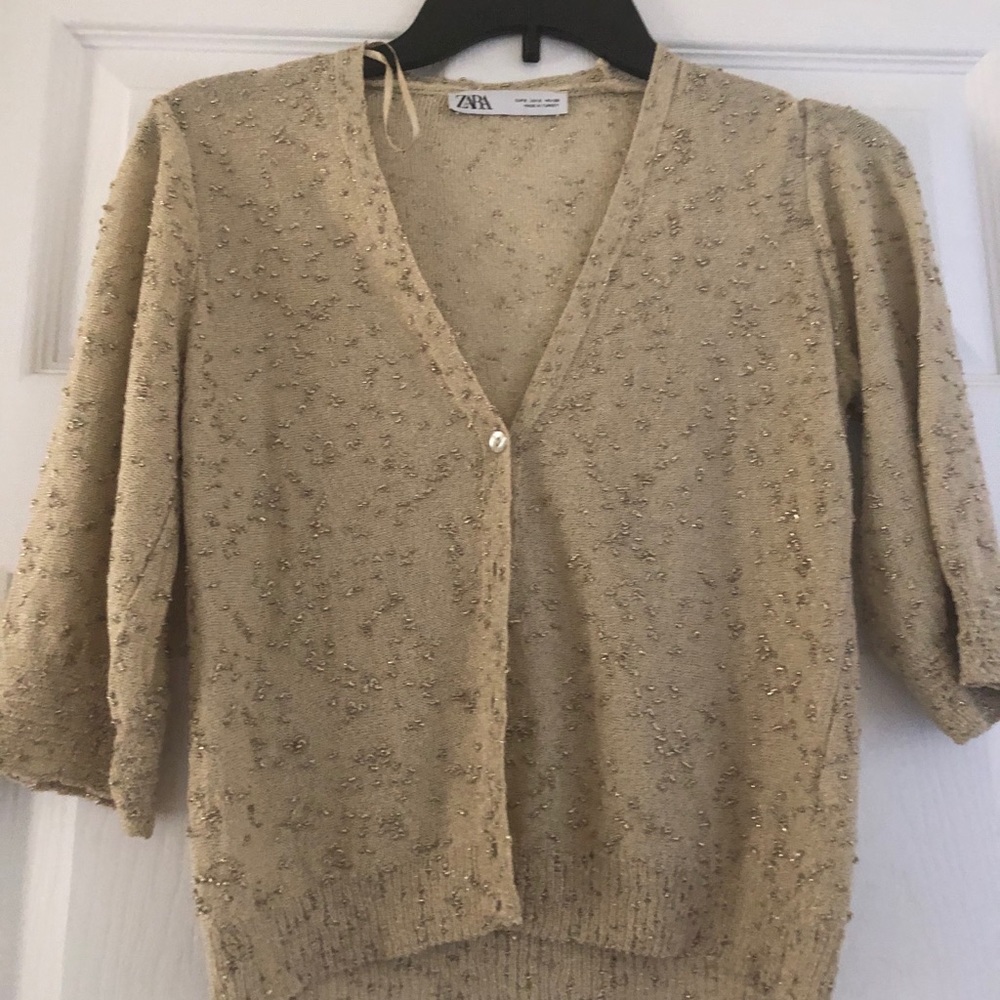 Shimmery Zara cardigan